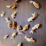 Gold Koi Fish Wall Decor Set of 10