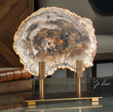Polished Slice of Petrified Wood on antique bronze stand.