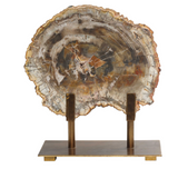 Polished Slice of Petrified Wood on antique bronze stand.