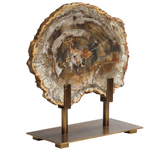 Polished Slice of Petrified Wood on antique bronze stand.
