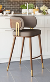Brewster Luxury Mid Century Modern Barstool Brown with Metal Walnut Finish Frame