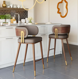 Brewster Luxury Mid Century Modern Barstool Brown with Metal Walnut Finish Frame