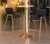 Desires Black Barstool or Counter Stool with Gold Metal Base