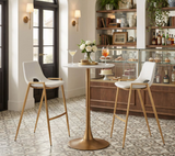 Desires White Barstool or Counter Stool with Gold Metal Base