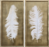 White feather in a gold leaf shadow box