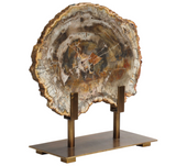 Polished Slice of Petrified Wood on antique bronze stand. 