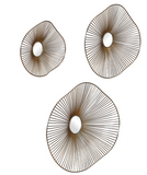 The Shroom metal wall art is organic and modern.This contemporary set of 3 metal wall art features 3-dimensional organically curved shapes with radiating metal spokes, finished in a plated gold with mirrored center accents.