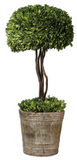 The Temple Preserved Topiary is preserved while freshly picked, natural evergreen foliage looks and feels like living boxwood. Single topiary is potted in mossy stone finished terracotta planter. Indoor use only. Great for areas where greenery is need for the 'not so green thumb.'